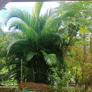  Appartement Tropicale Charmant T2 Dans Un Cadre Verdoyant